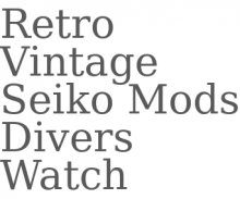 Divers Watch USA logo